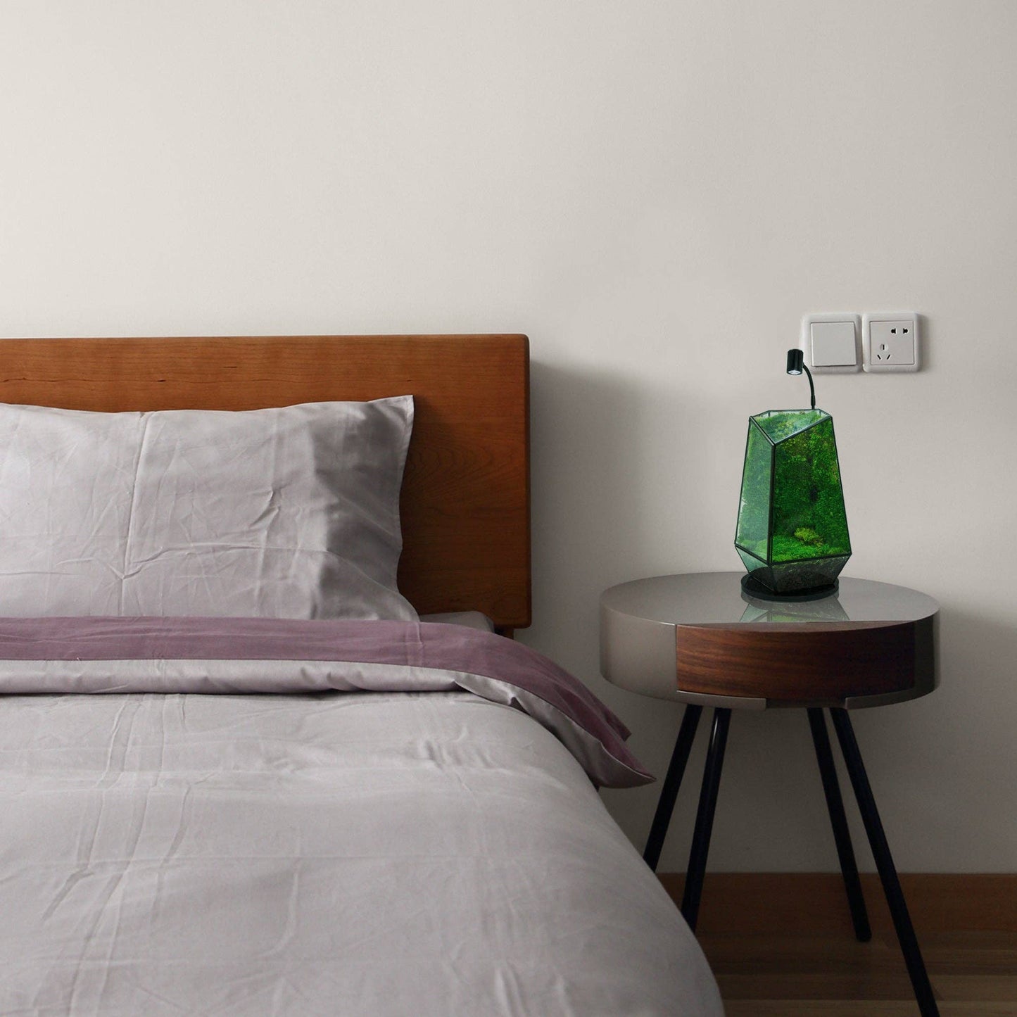 MINI Spotlight for Terrariums