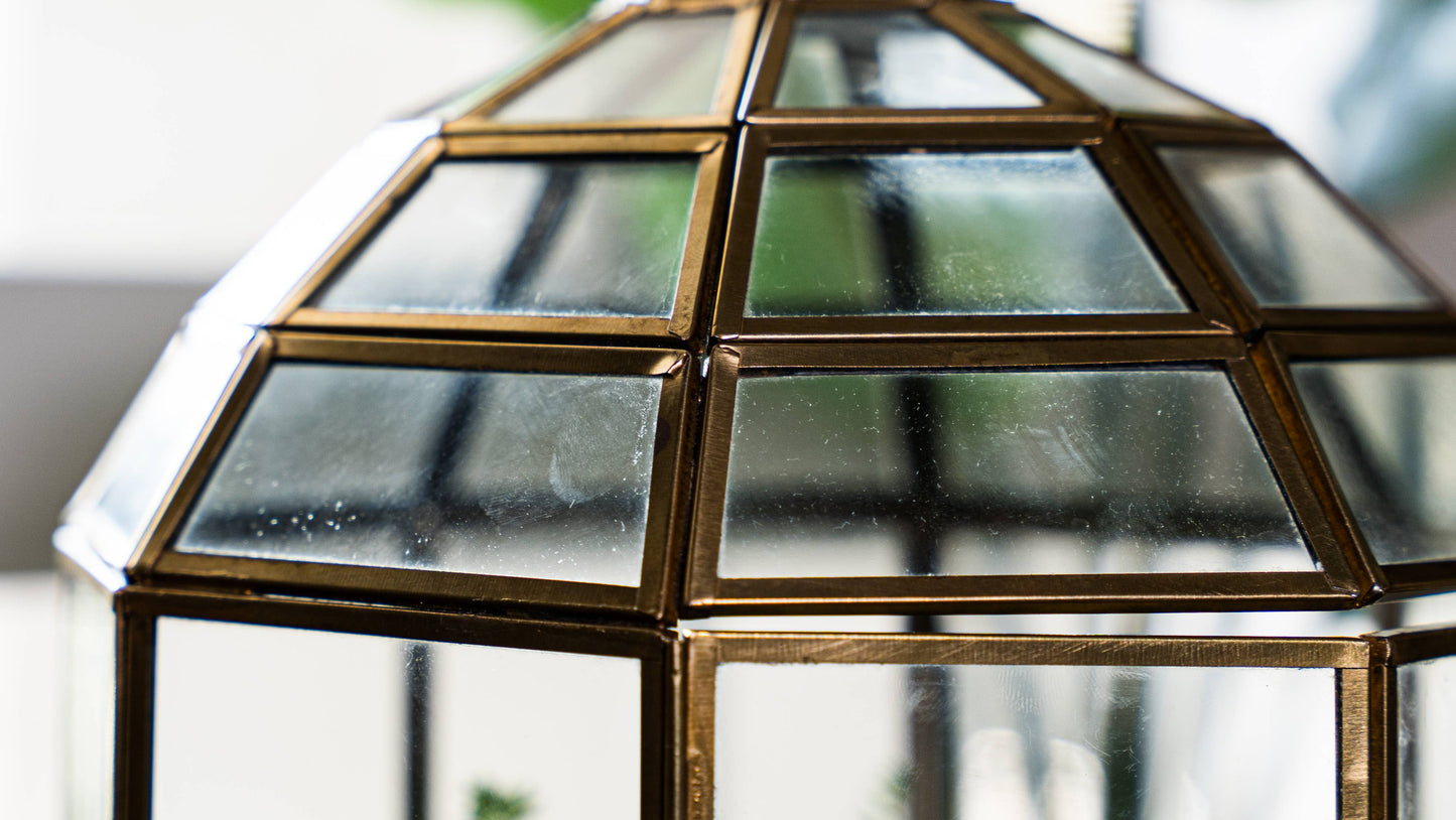 Bronze Bird Cage Terrarium