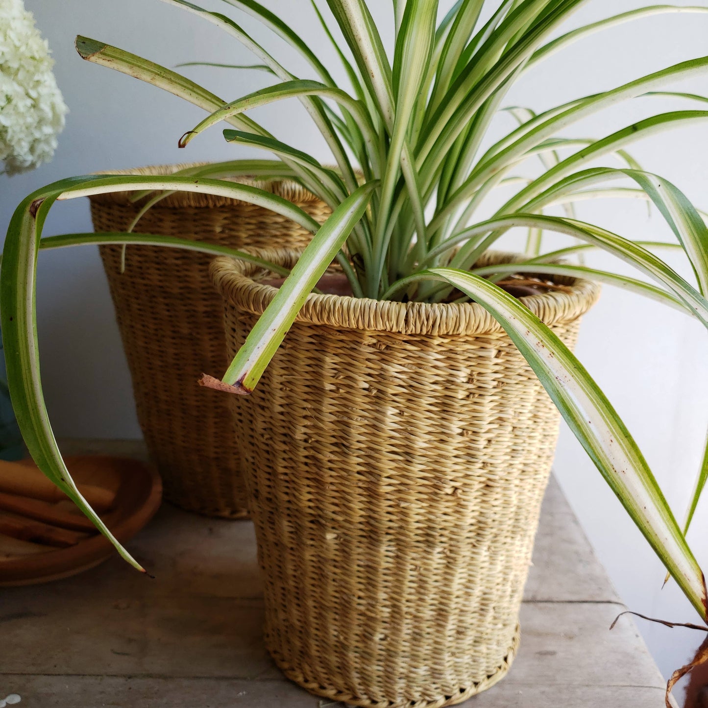 Woven Canister Basket