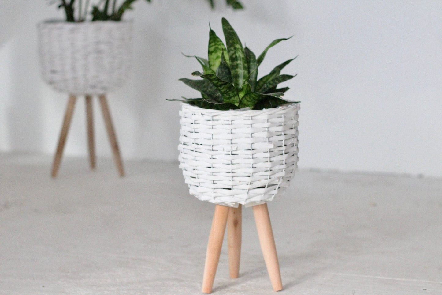White Boho Woven Plant Stand