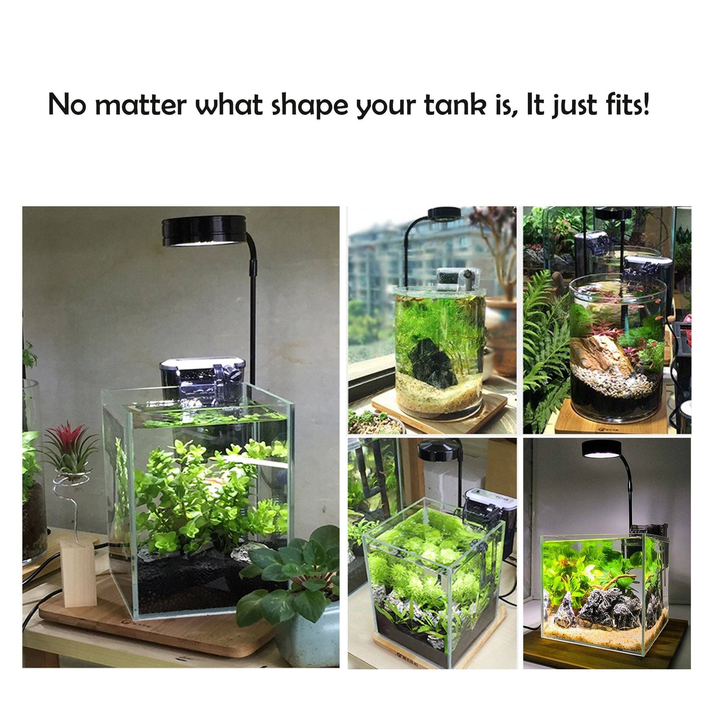 Full Spectrum LED Light, fits Aquarium Nano Tank, Wabi Kusa: 5W