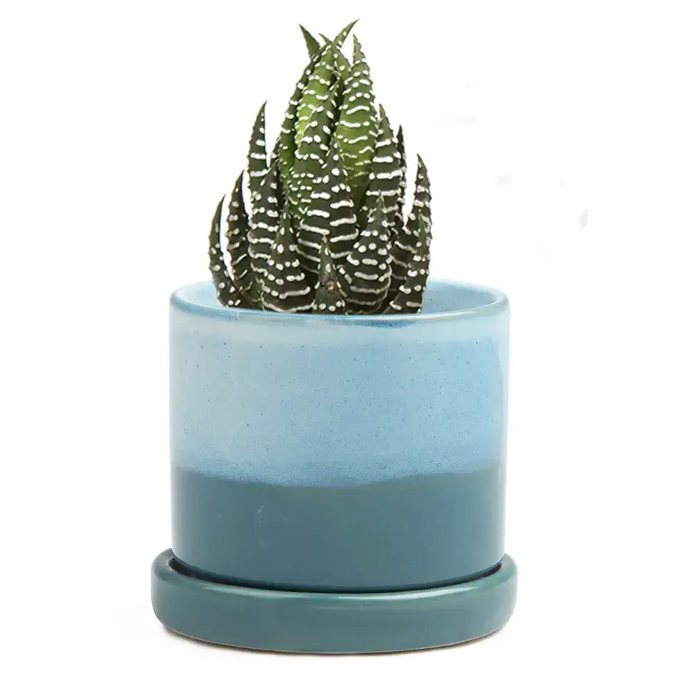 Minute Pot & Saucer
