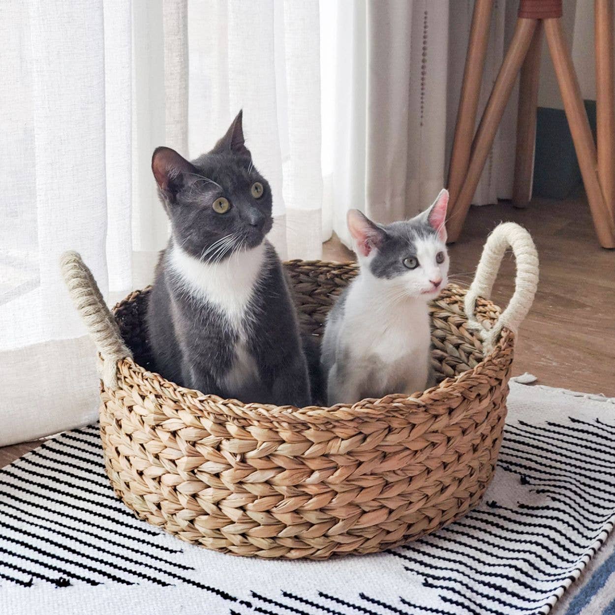 Handwoven Savar Wicker Basket