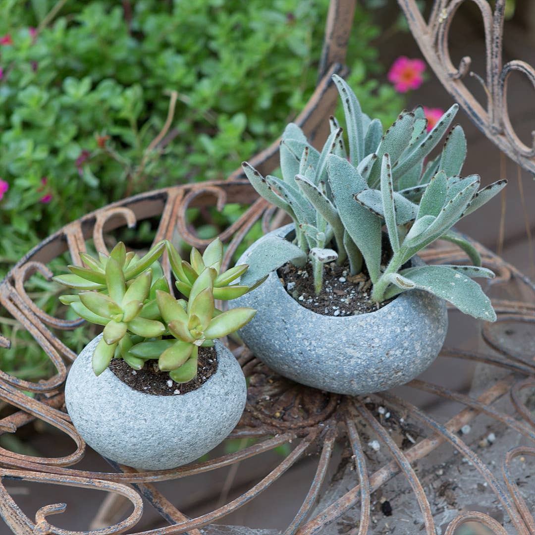 Stone Succulant Pot
