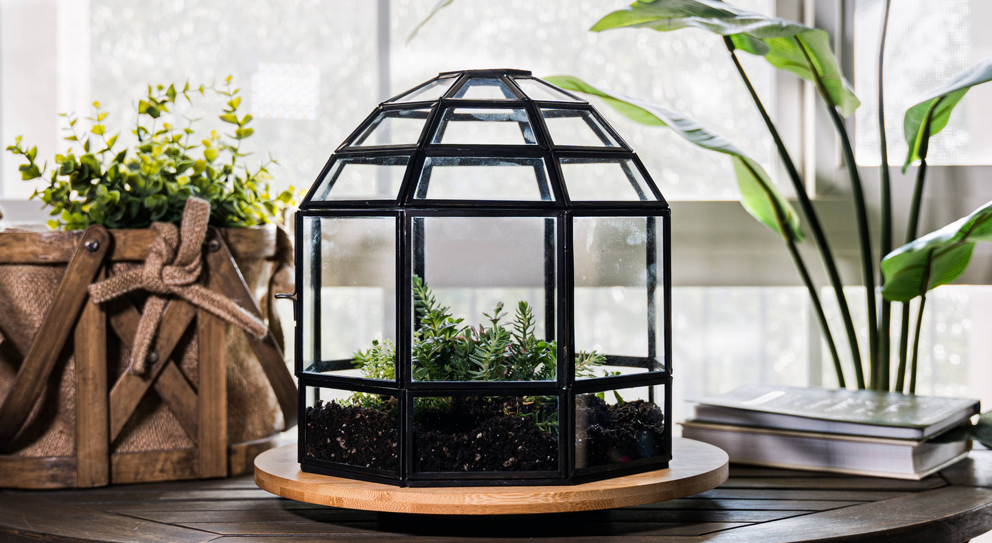 Bronze Bird Cage Terrarium
