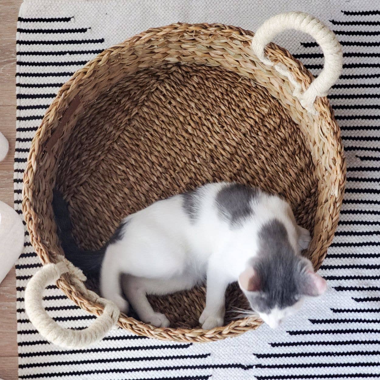 Handwoven Savar Wicker Basket