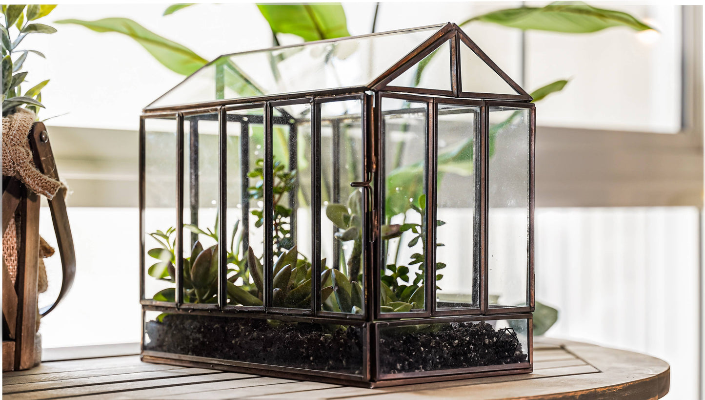 Terrarium Workshop