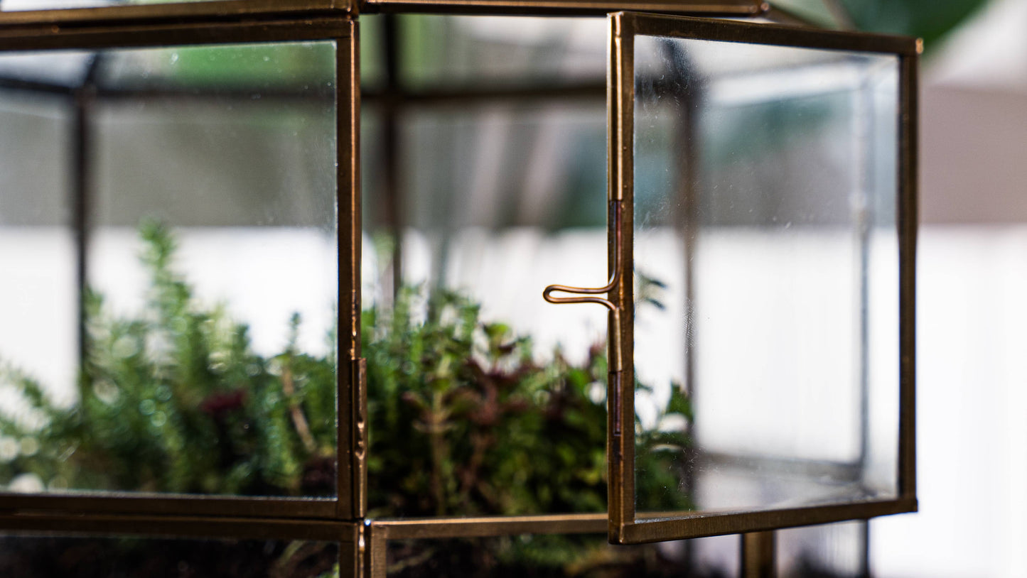 Bronze Bird Cage Terrarium