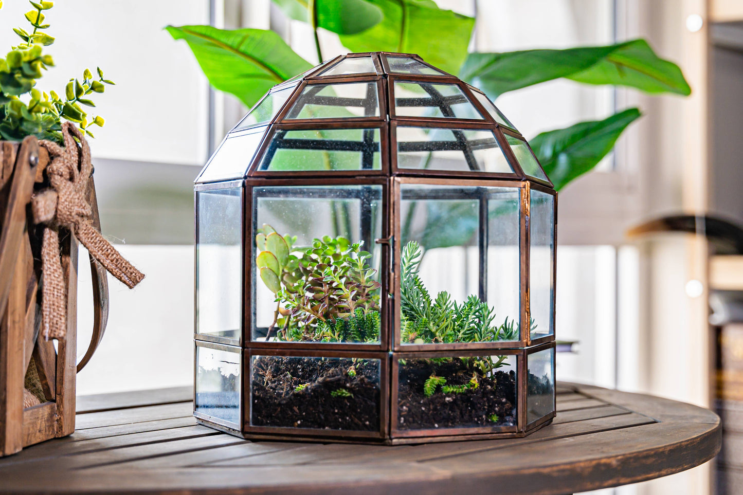 Bronze Bird Cage Terrarium