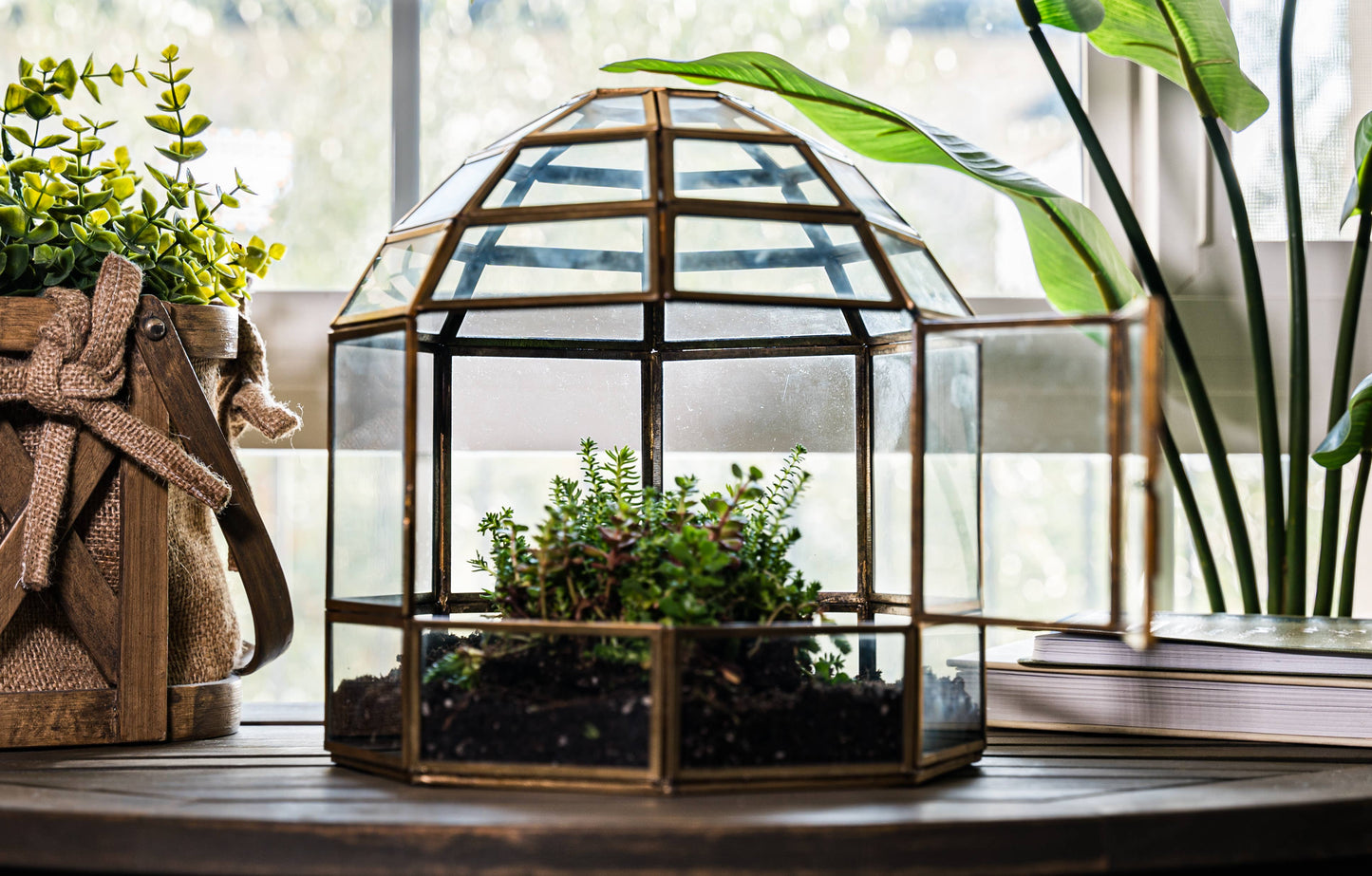 Bronze Bird Cage Terrarium