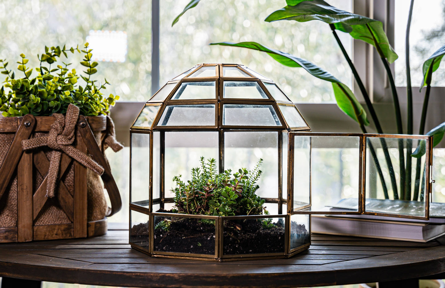 Bronze Bird Cage Terrarium