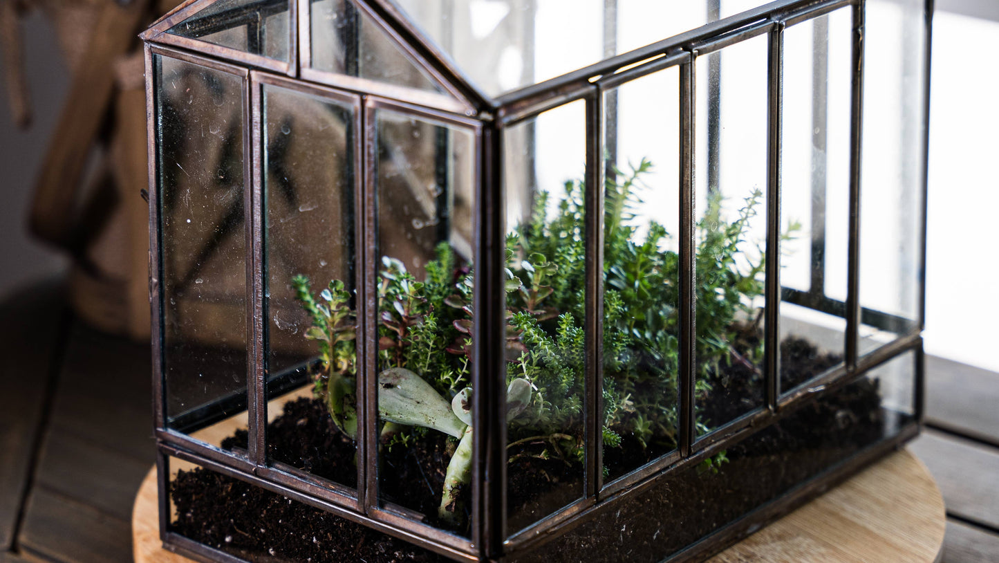 Bronze Greenhouse Terrarium