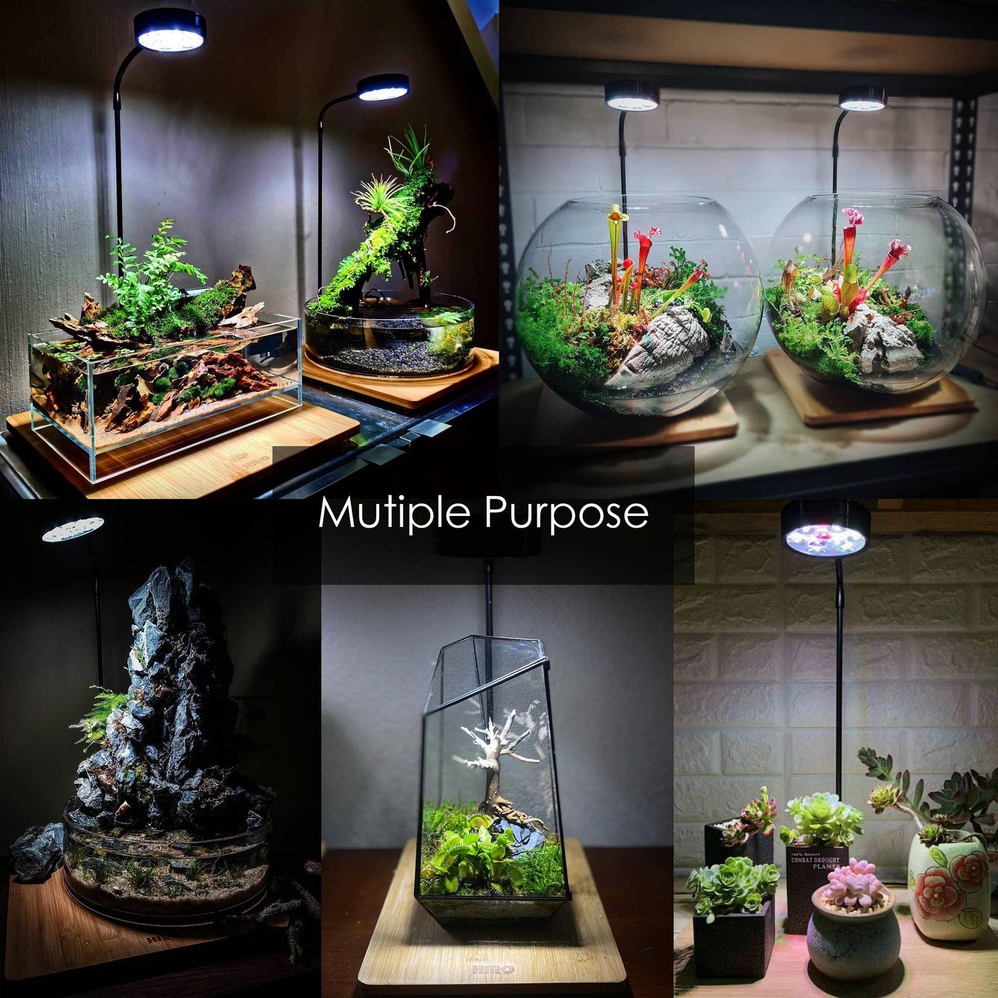 Full Spectrum LED Light, fits Aquarium Nano Tank, Wabi Kusa: 5W