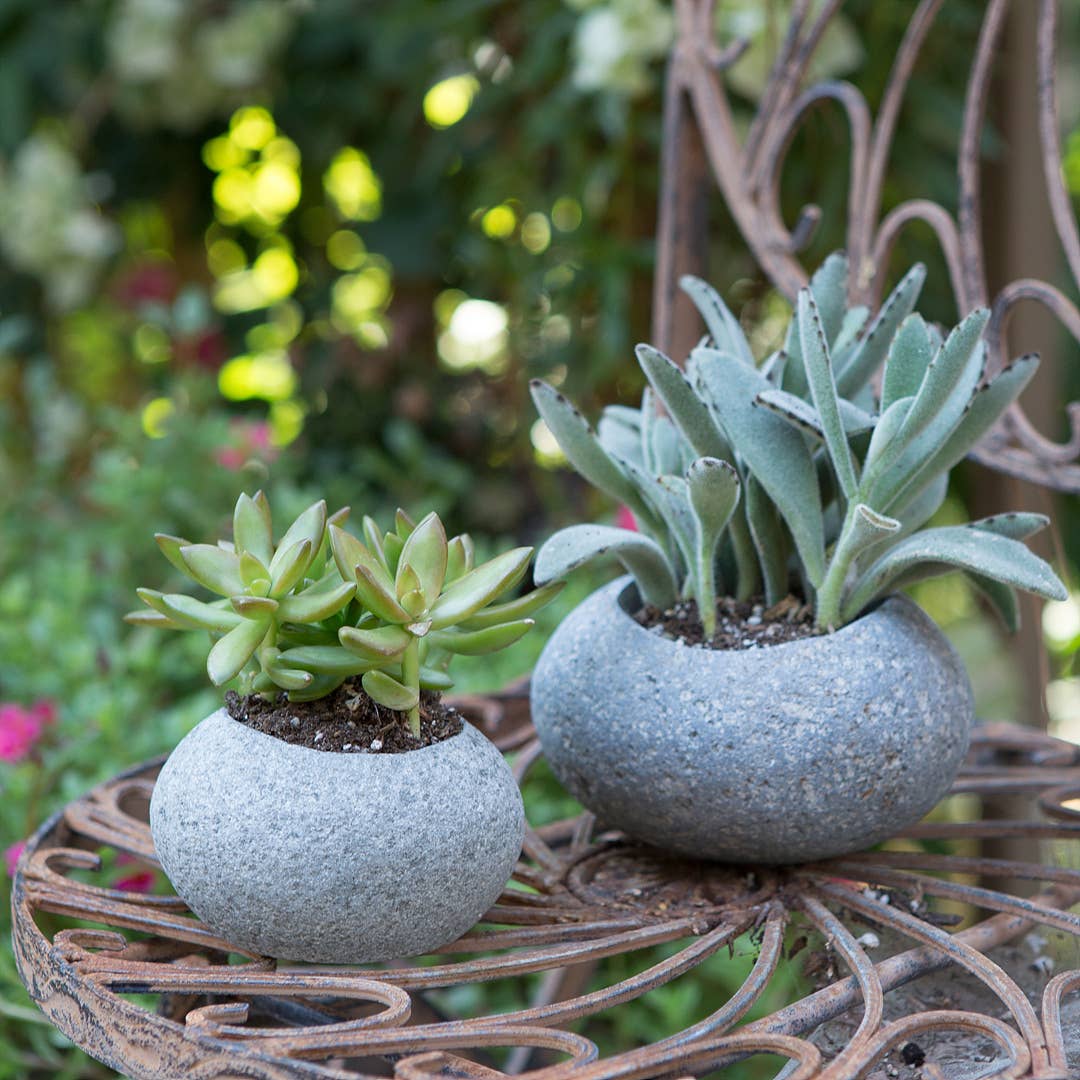 Stone Succulant Pot