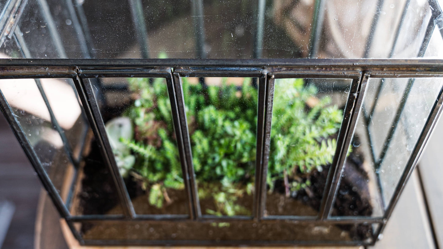 Bronze Greenhouse Terrarium