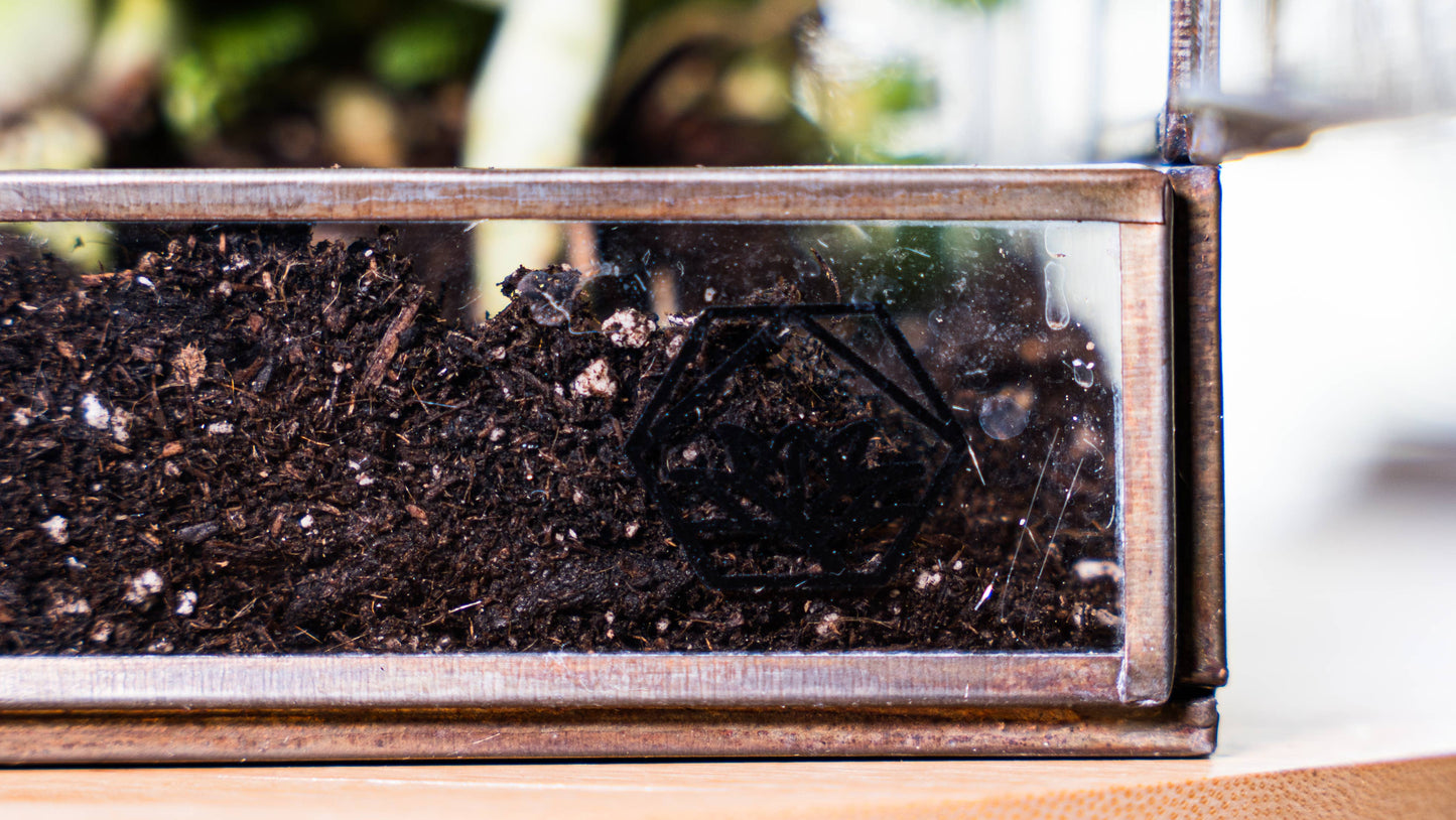 Bronze Greenhouse Terrarium