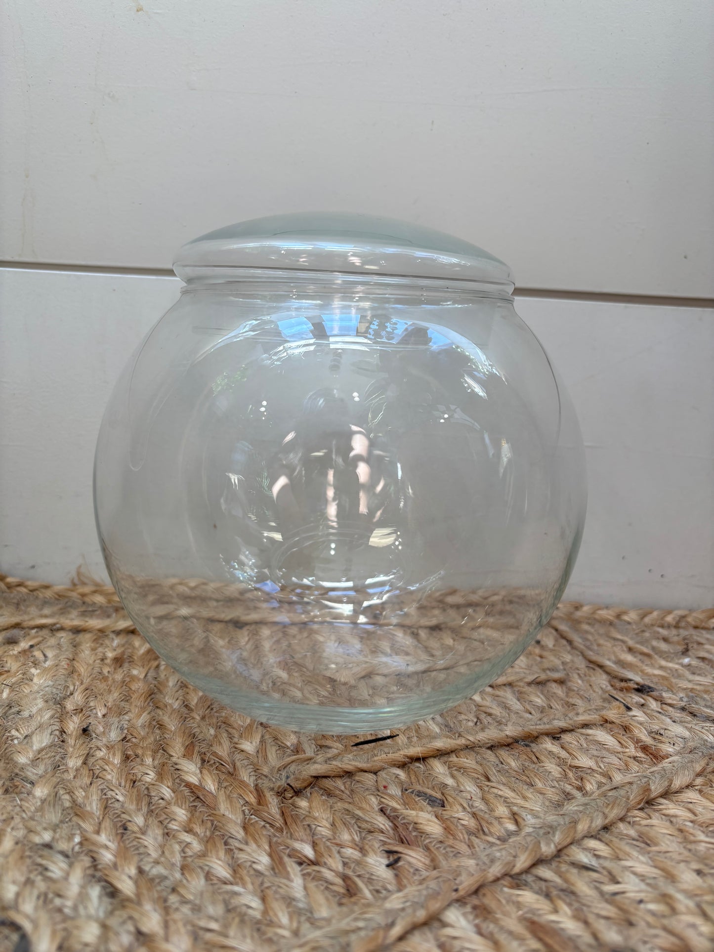 Terrarium Workshop