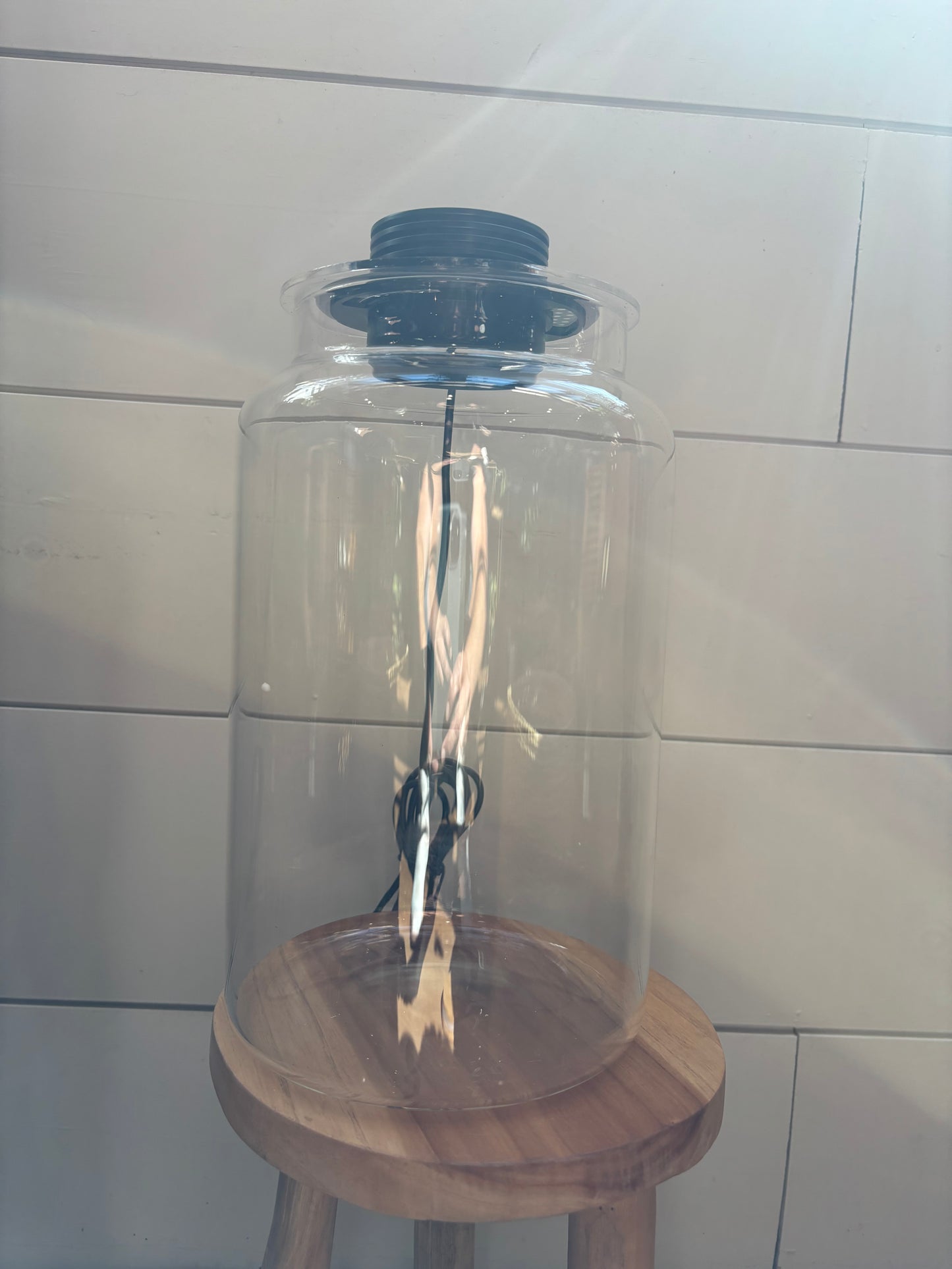 Terrarium Workshop