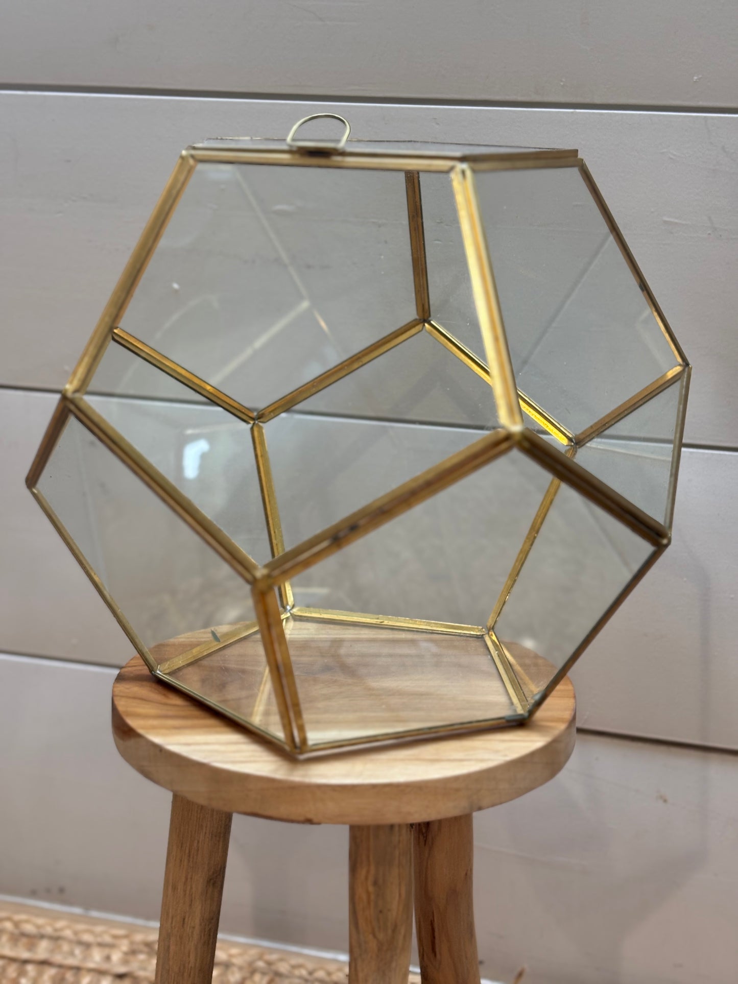 Terrarium Workshop