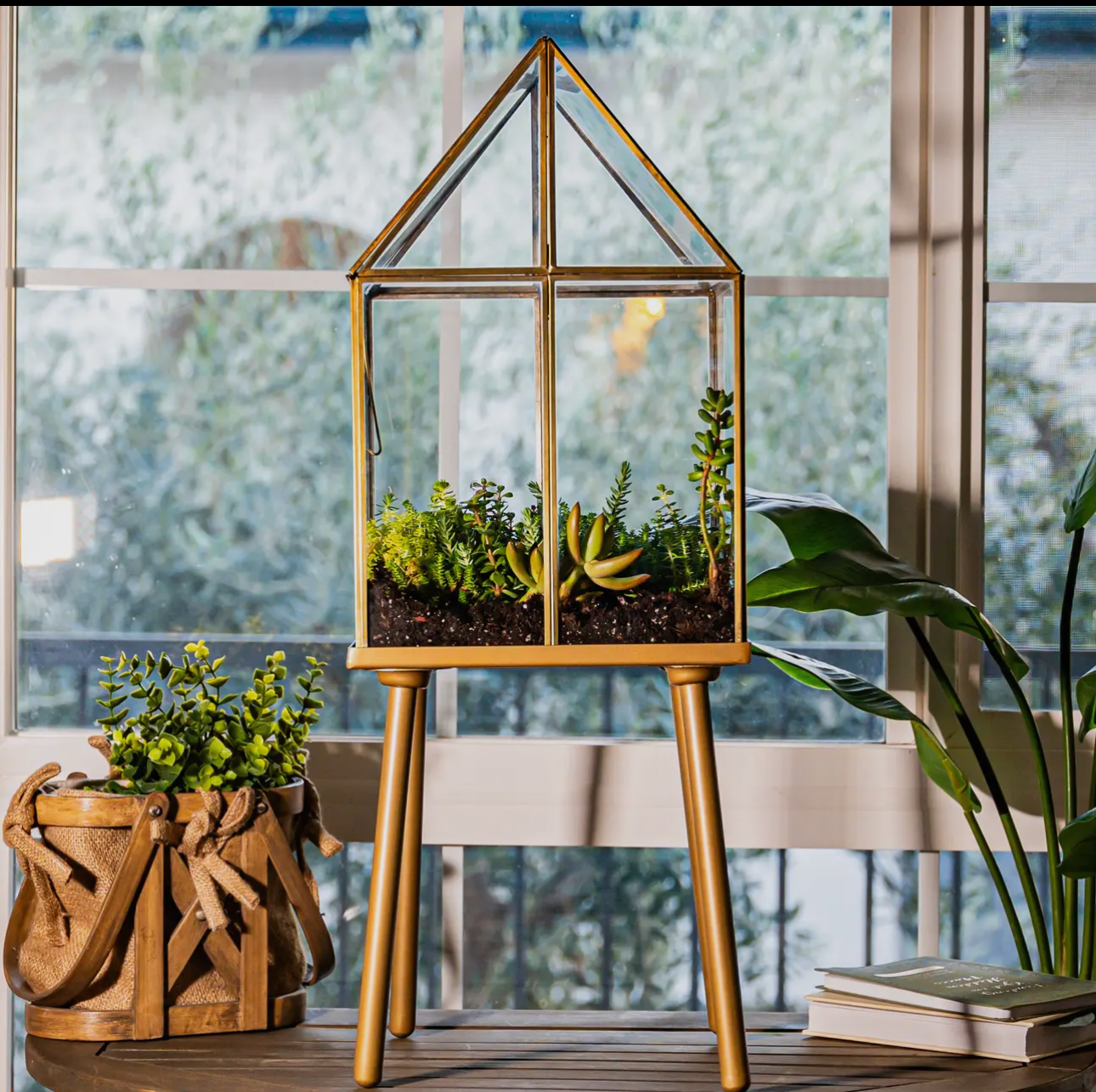 Terrarium Workshop