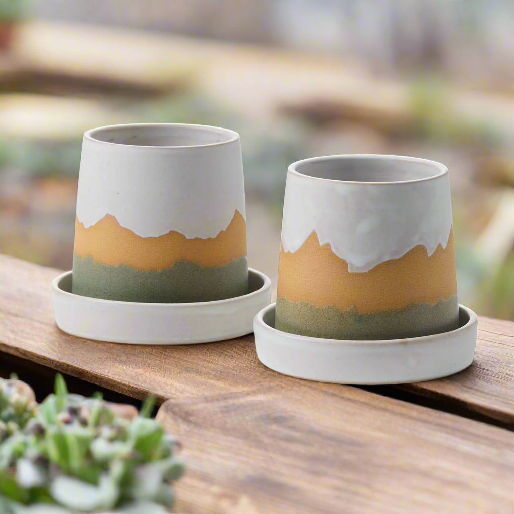 Evergreen Mountain Pass Planter