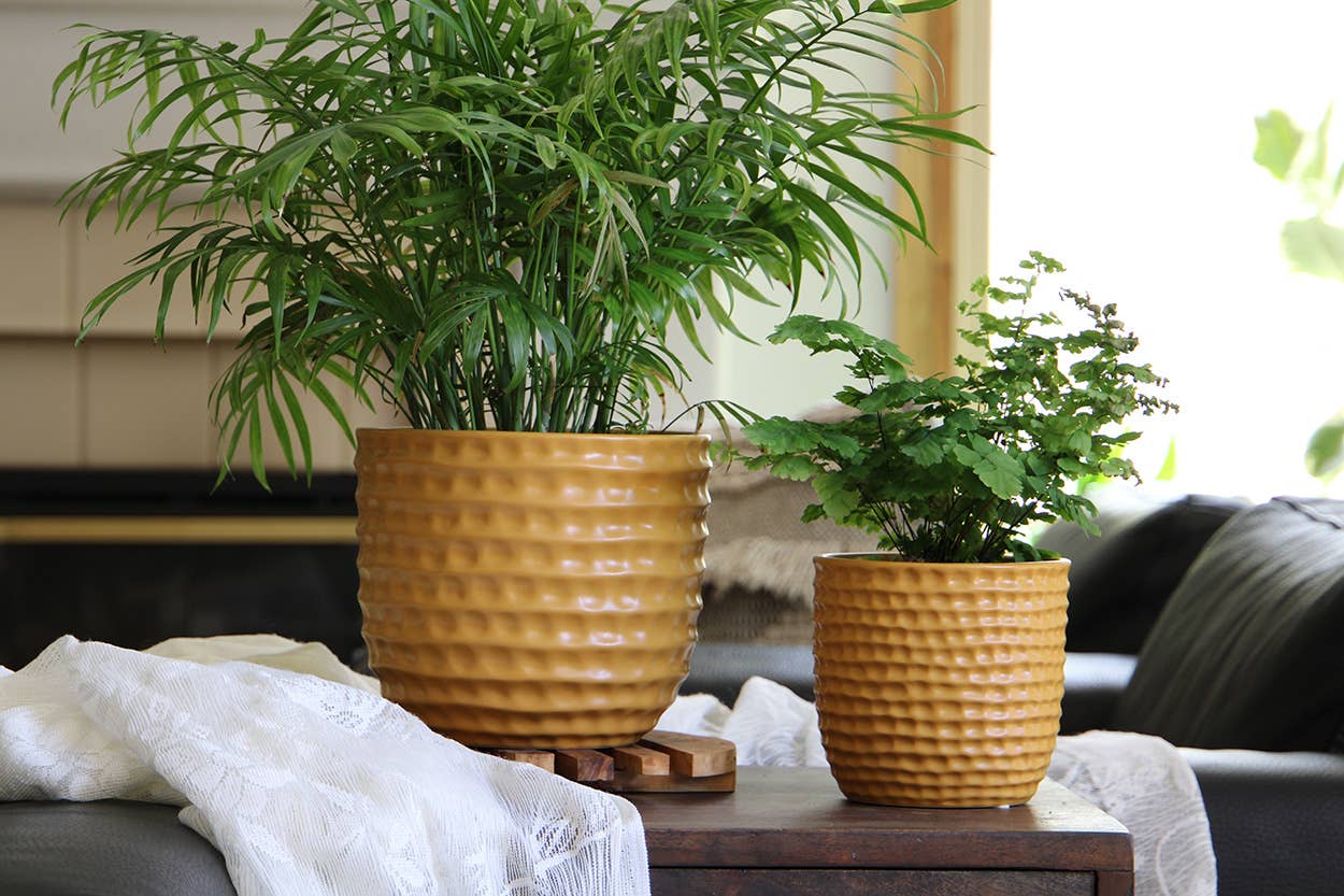 Mustard Honeycomb Pot