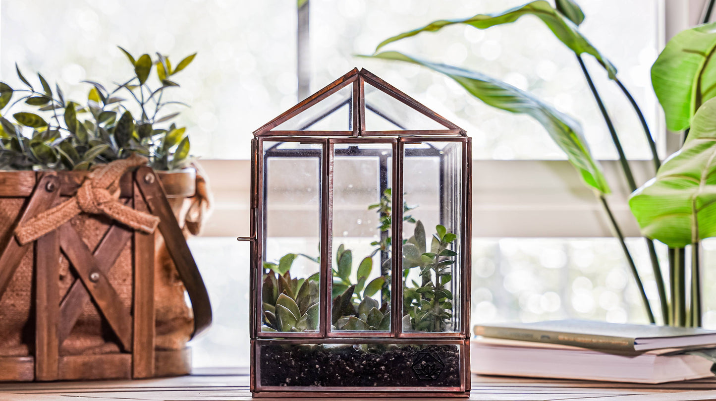 Bronze Greenhouse Terrarium
