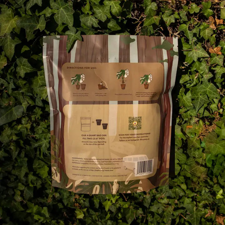 Premium Houseplant & Aroid mix