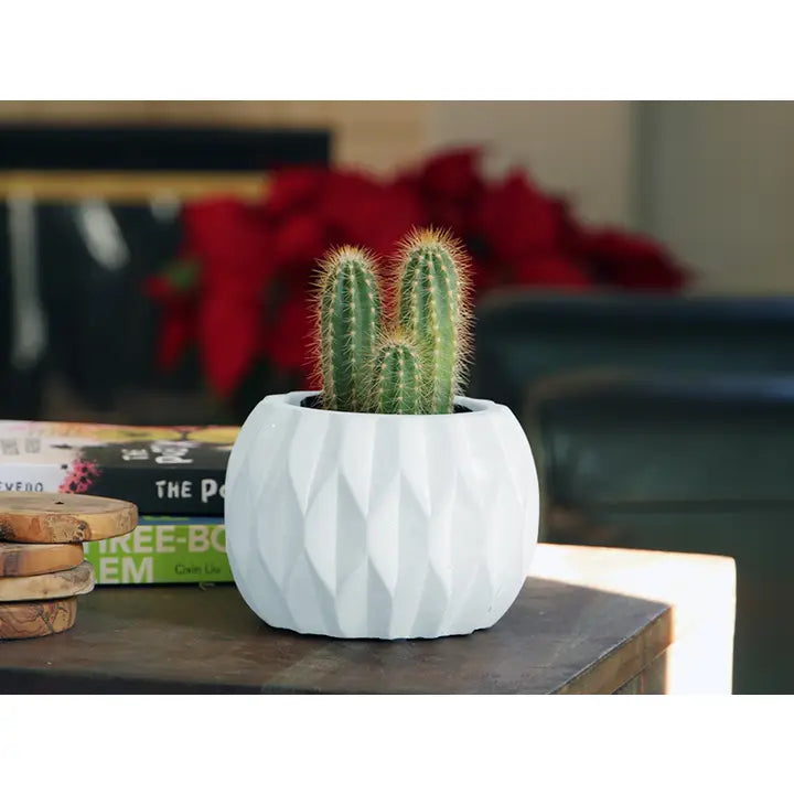 Geometry Diamond Tumbler Pot