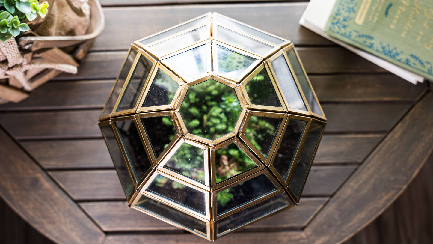 Bronze Bird Cage Terrarium