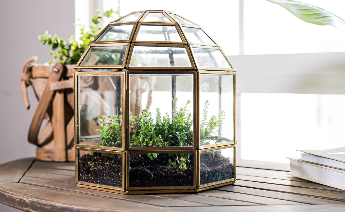 Bronze Bird Cage Terrarium