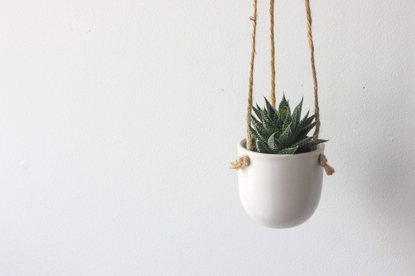 Ceramic Hanging Planter
