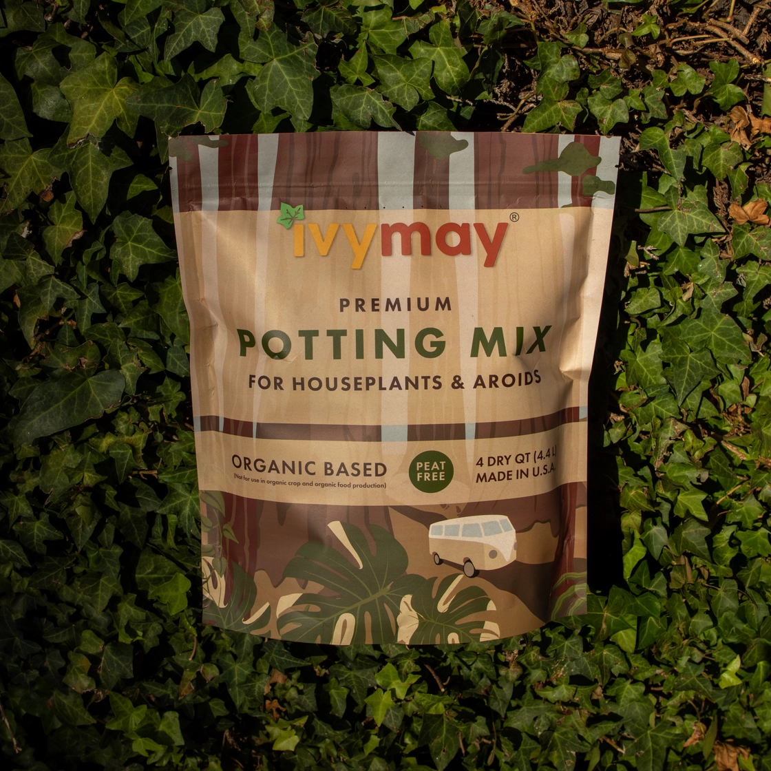 Premium Houseplant & Aroid mix – Inside