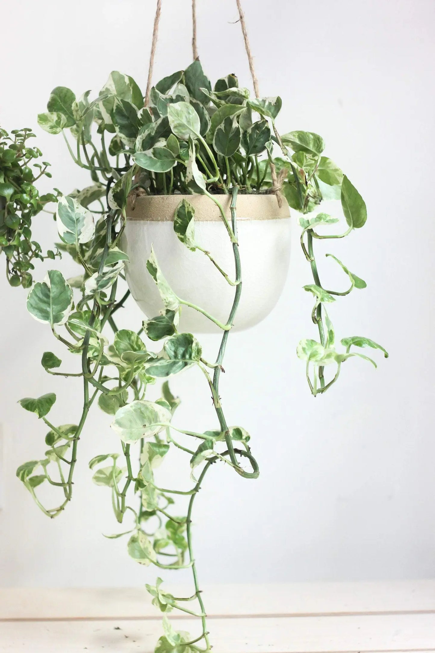 Boho Ceramic Hanging Pot
