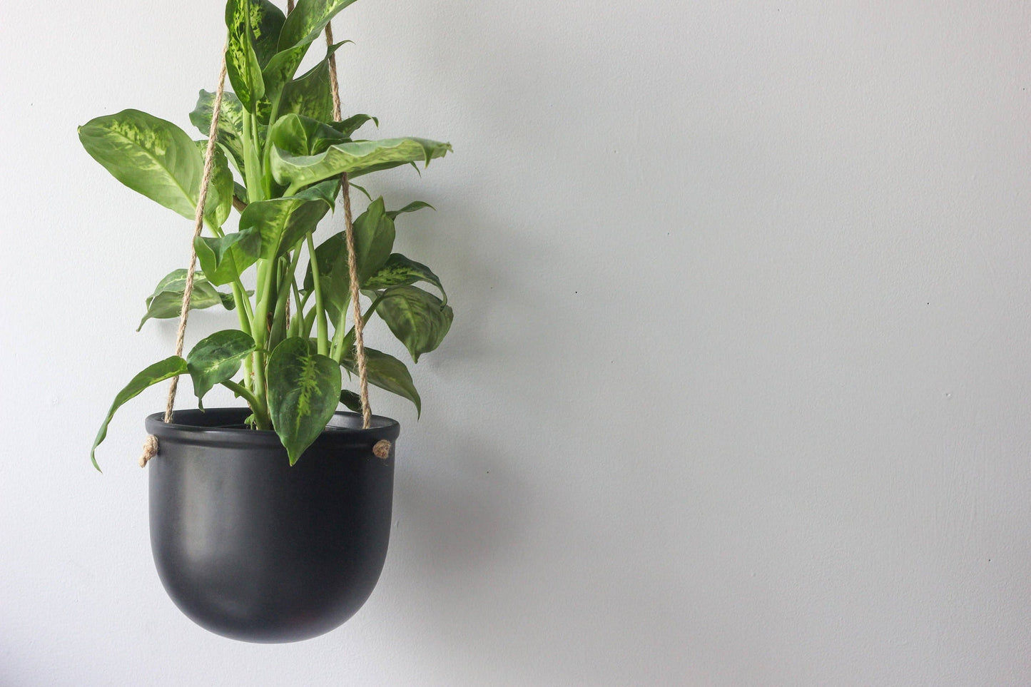 Ceramic Hanging Planter