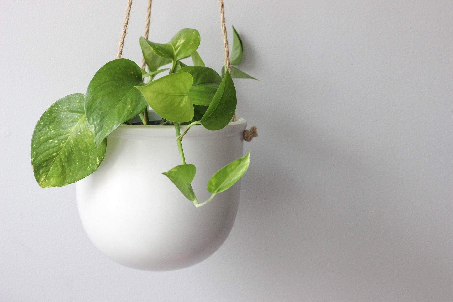 Ceramic Hanging Planter