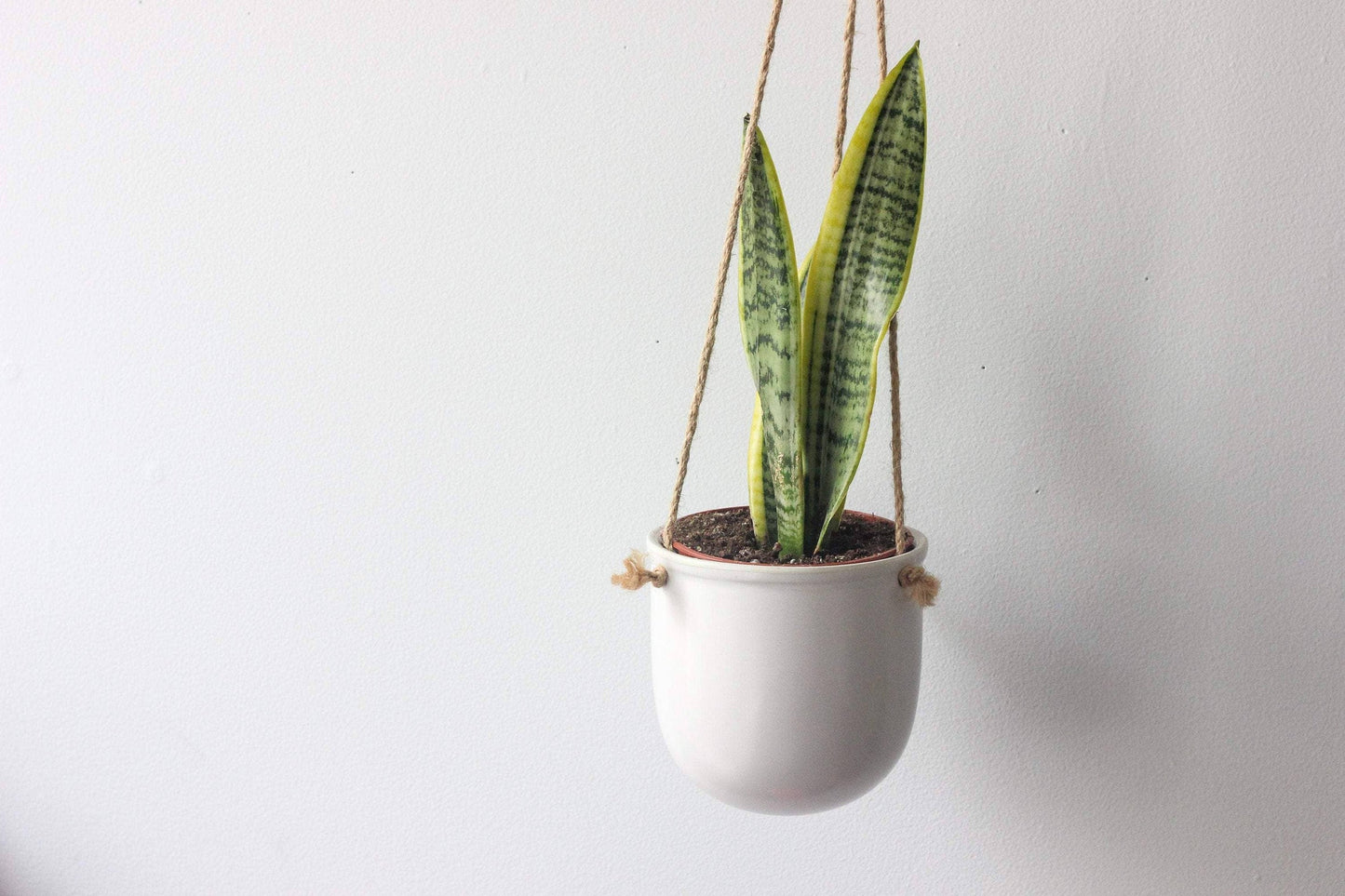 Ceramic Hanging Planter