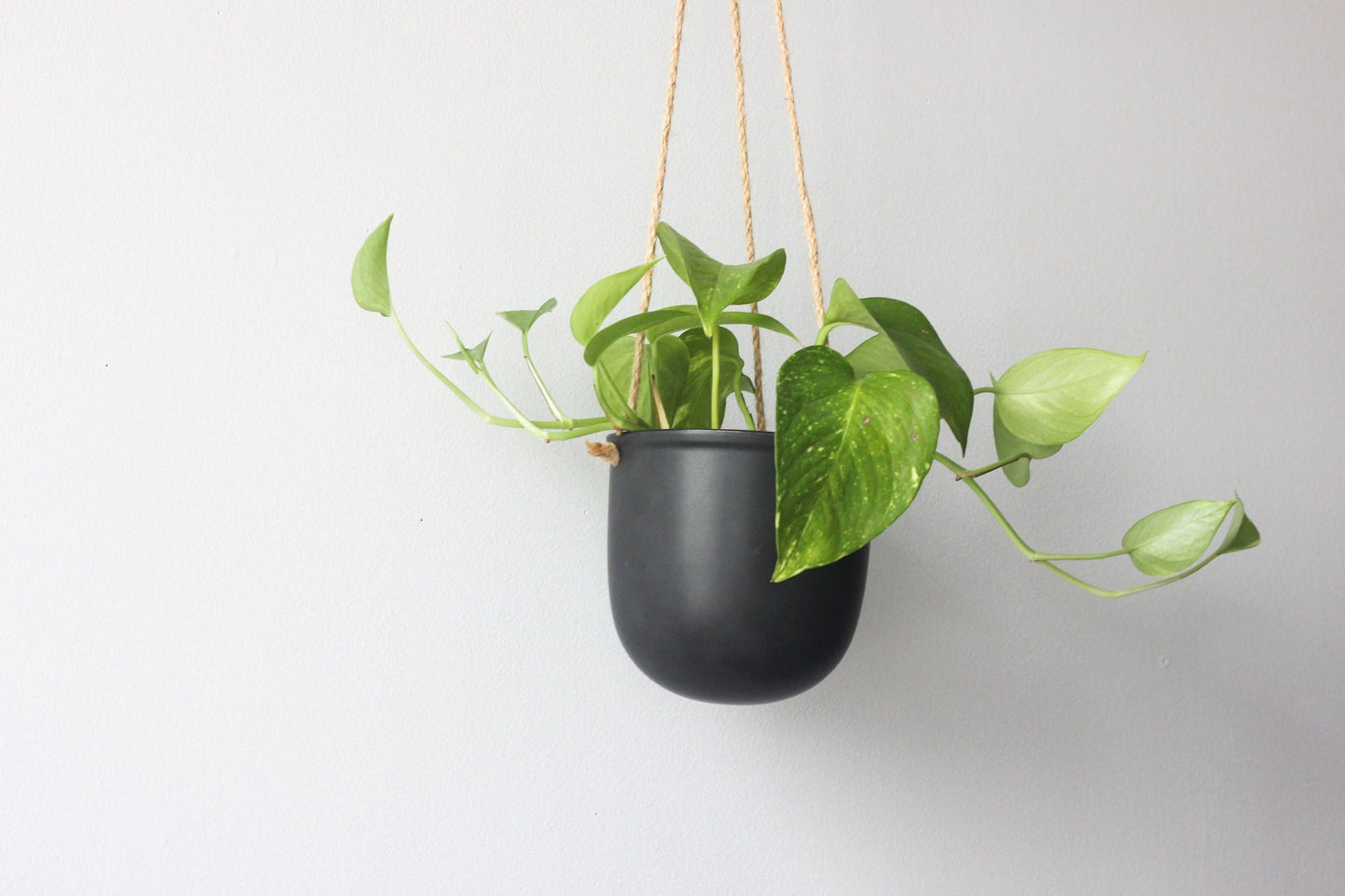 Ceramic Hanging Planter