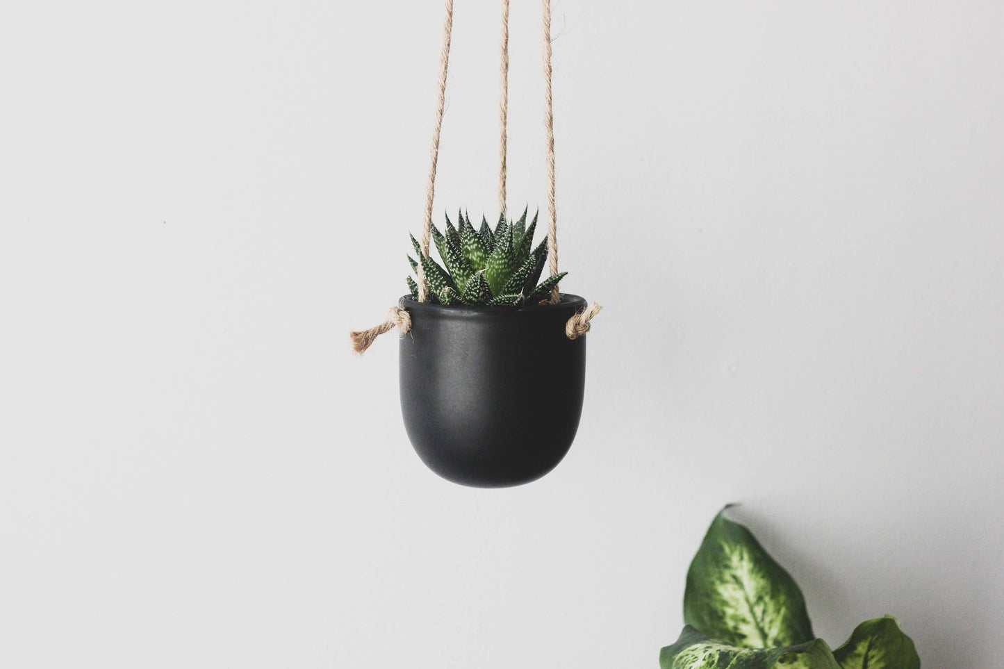 Ceramic Hanging Planter