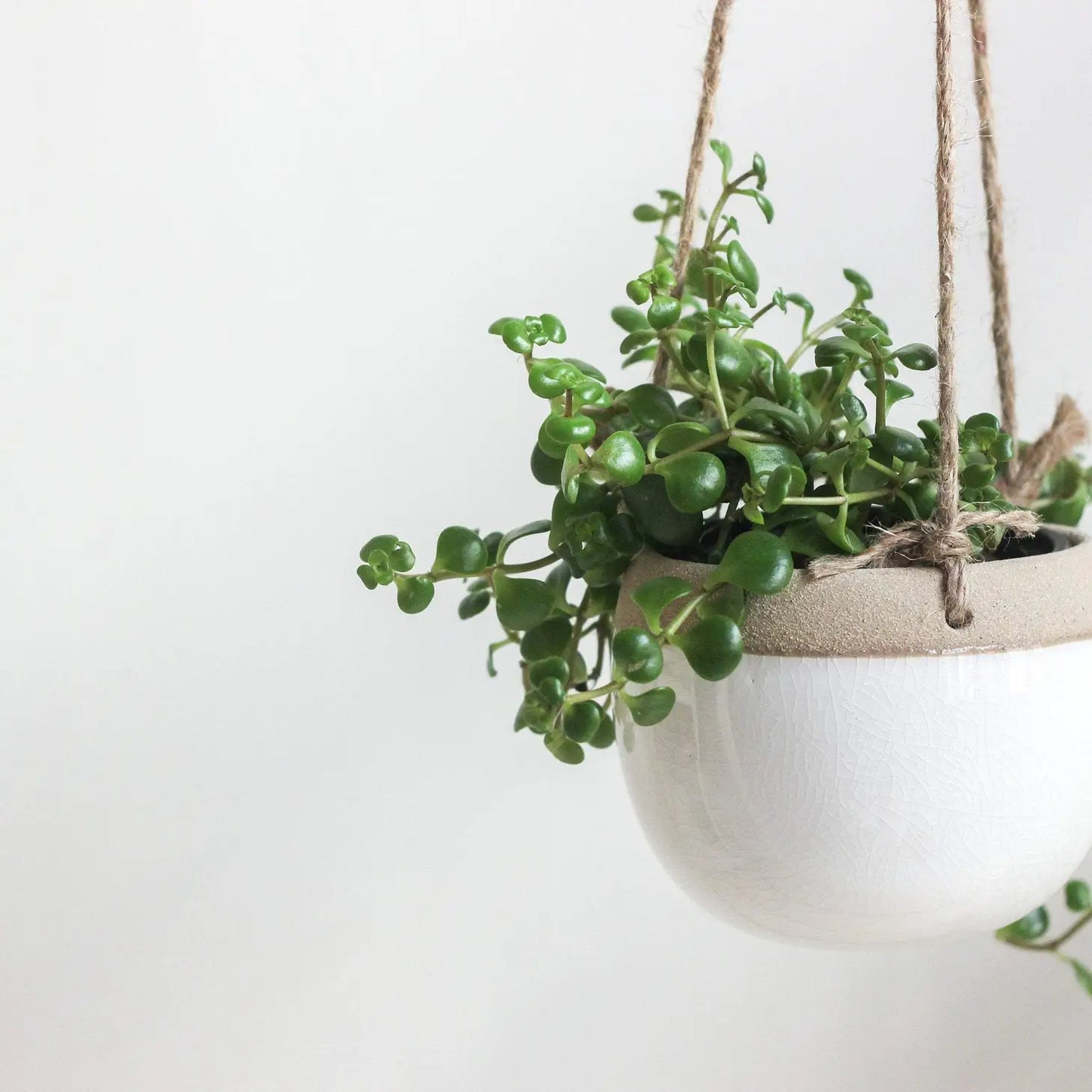 Boho Ceramic Hanging Pot