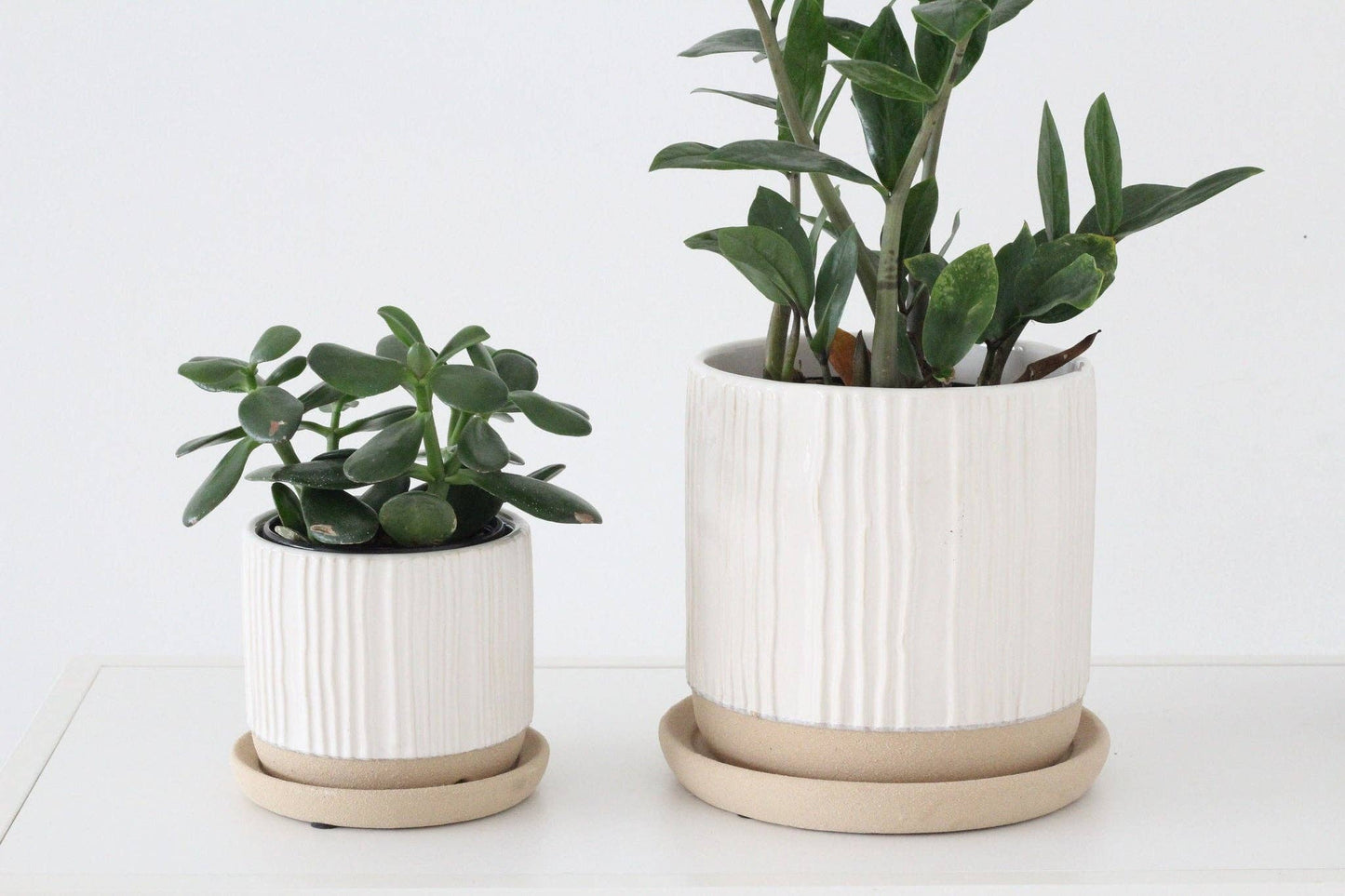 White Textured Ceramic Pot