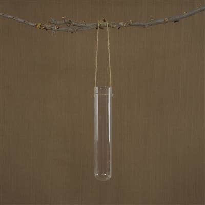 Hanging Glass Tube Vase