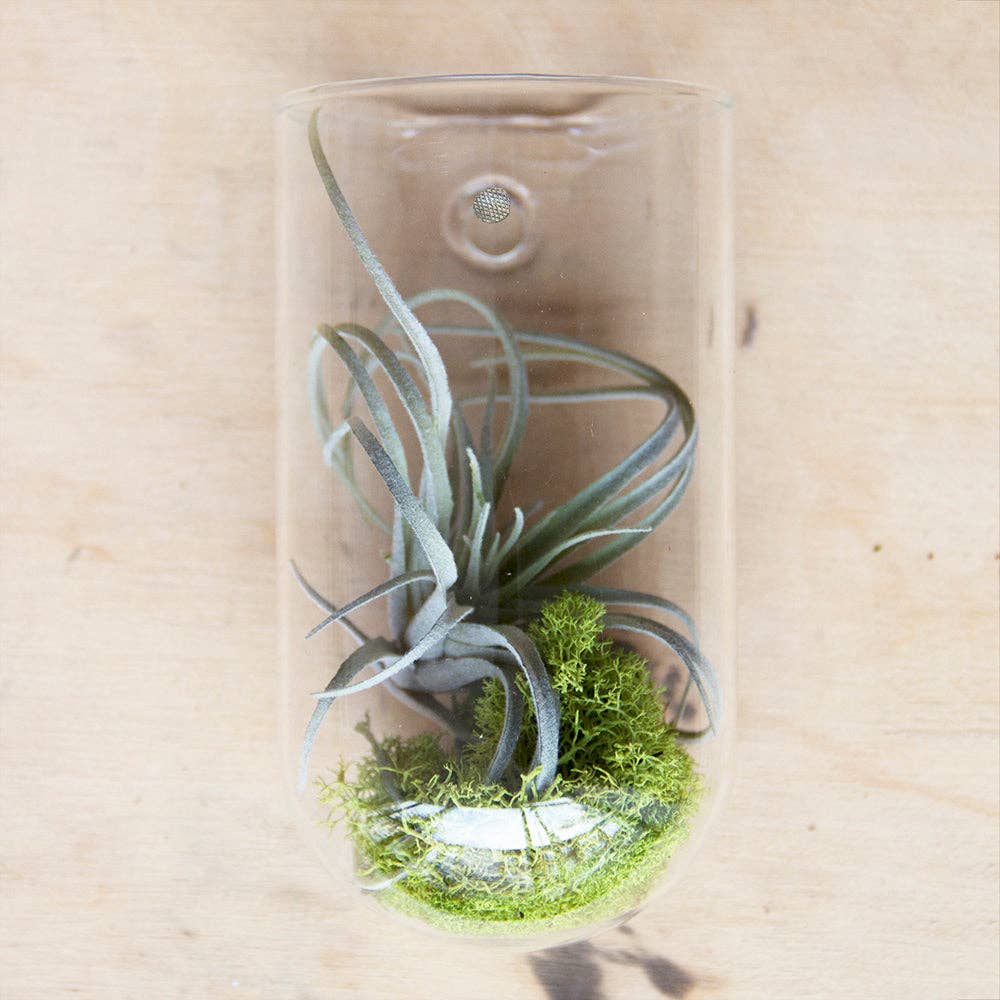 Hanging Glass Planter / Vase