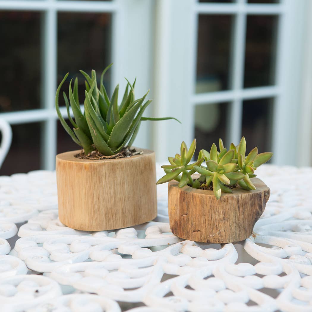 Teak Branch Pot Small