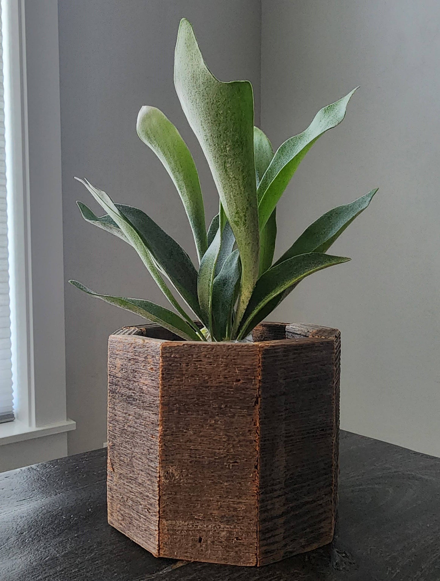 Geometric Reclaimed Wood Planter