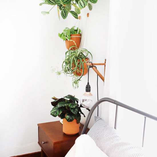 Loop Hanging Planter in Terracotta