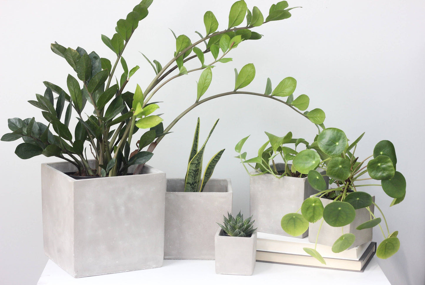 Mini Concrete Cement Square Cube Planter Pot: 3"