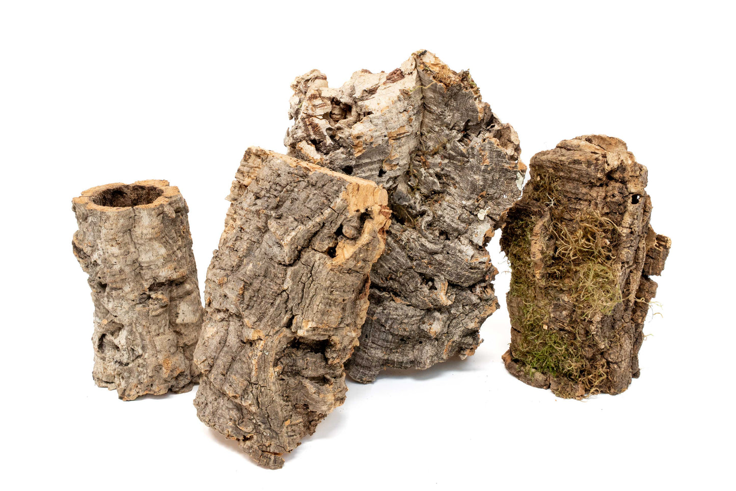 Assorted Cork Bark for Terrariums
