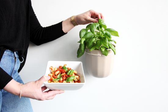Wallygrow Loop Hanging Planter