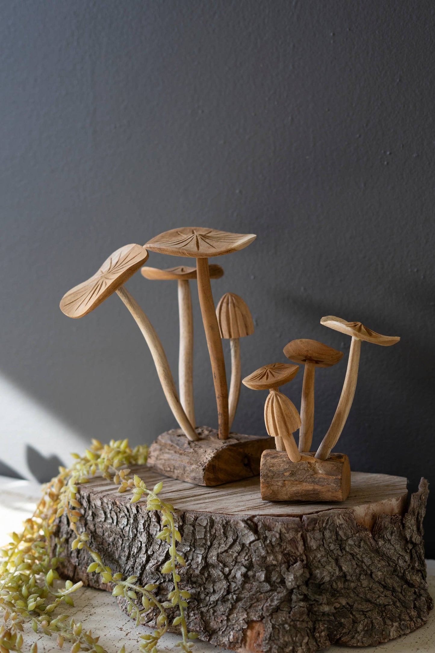 Hand Carved Teak Wood Mushrooms